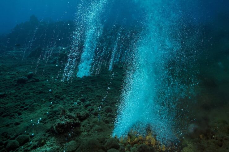 Image for Acid test: researching the impact of climate change on coral reefs