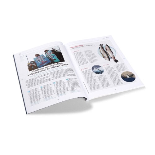 Positive News #101, Apr–Jun 2020 - Image 2