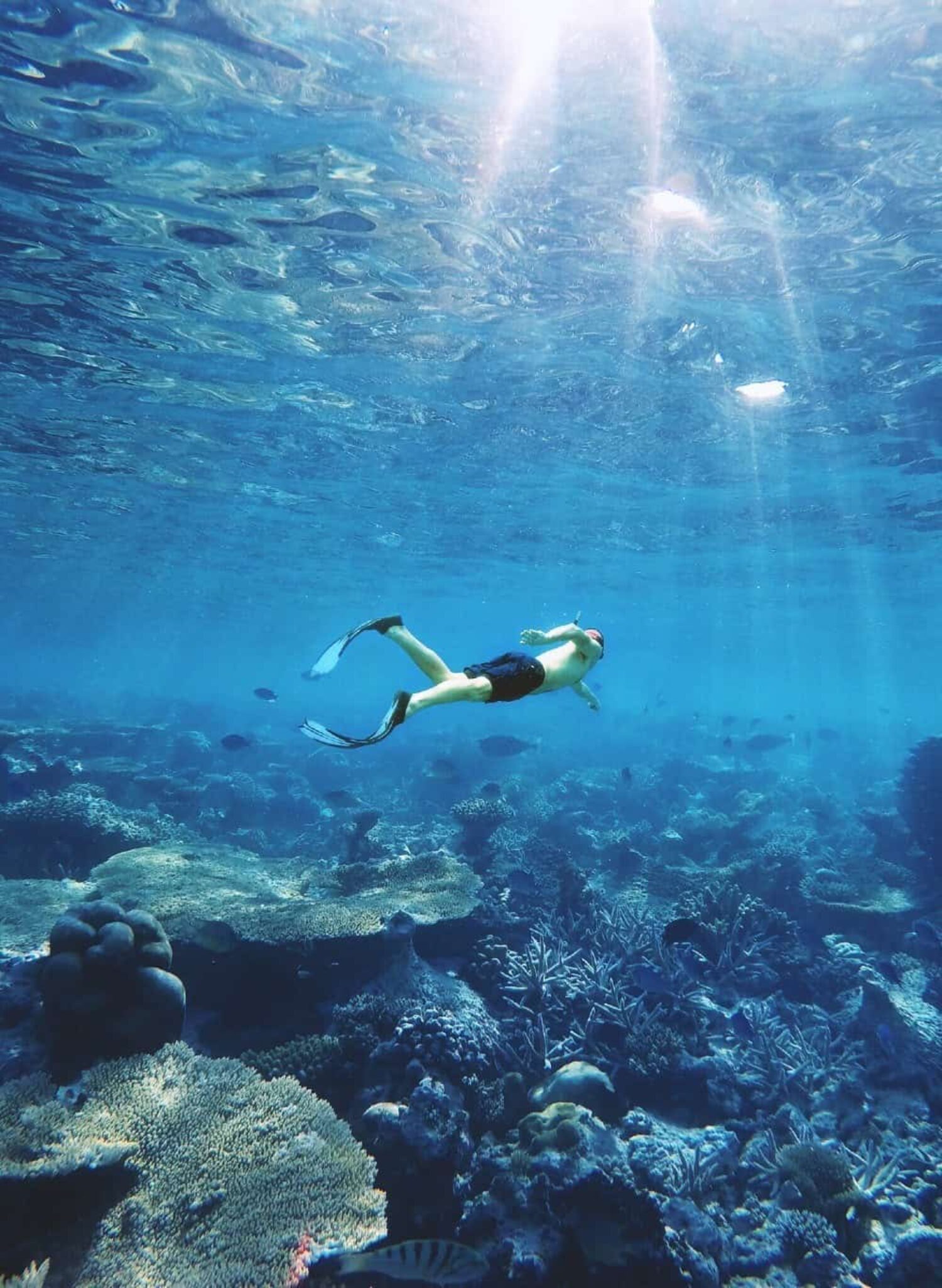 Maldives scuba diving