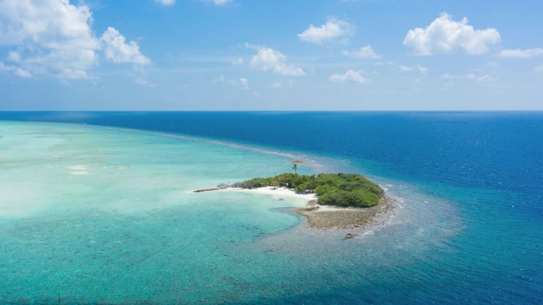 Image for ‘We fought hard’: the Maldivian community that saved its island from developers