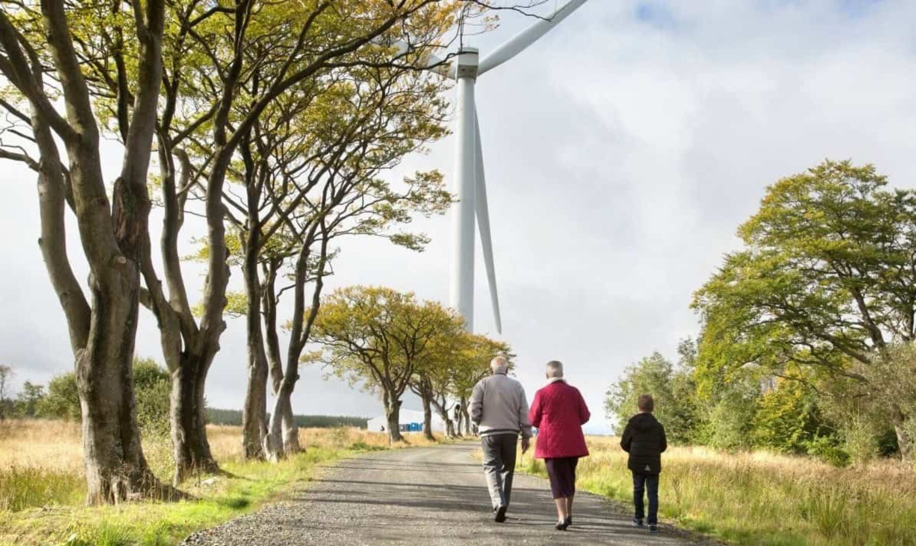 Image for Five green energy projects helping transform the UK electricity market