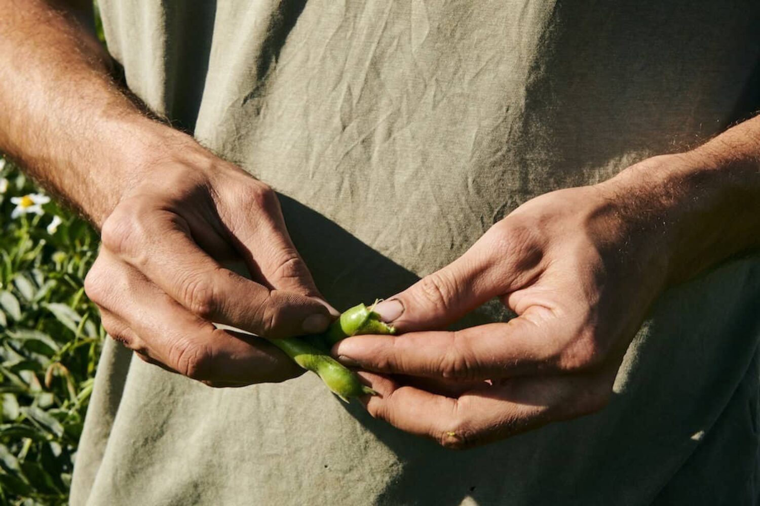 Regenerative farming