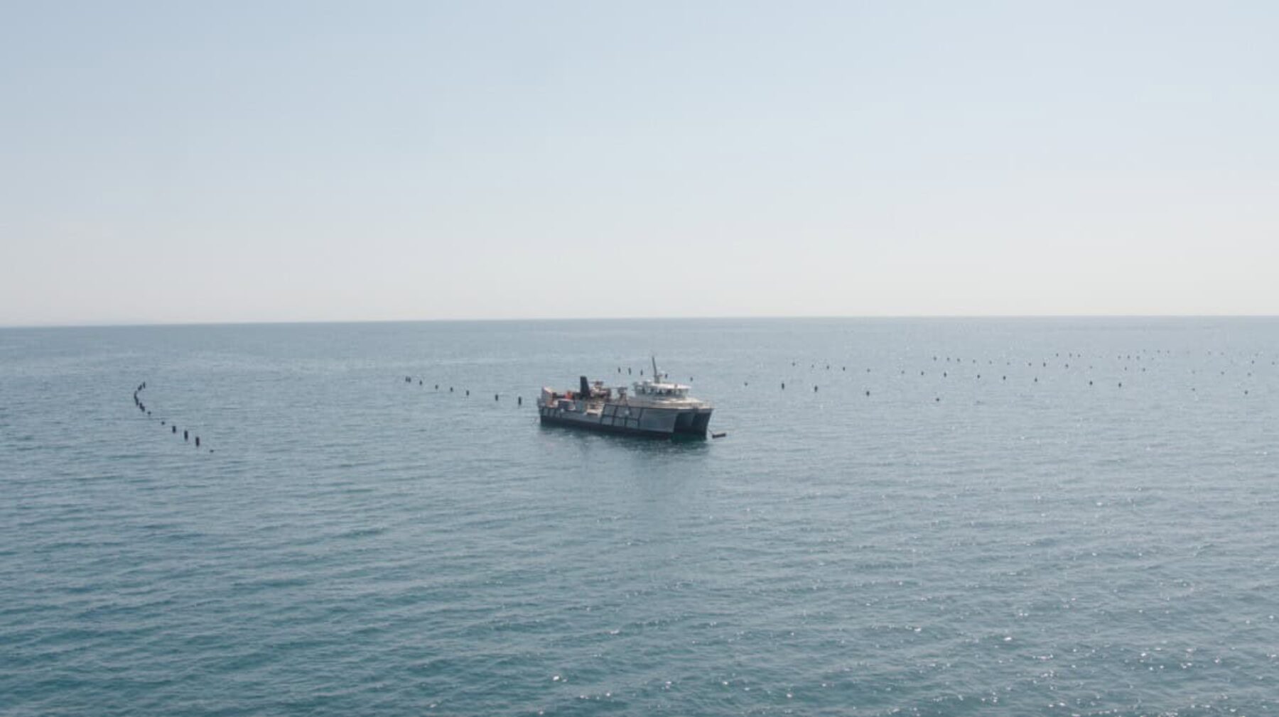 Image for Farms of the future: mussel farming given a new lifeline