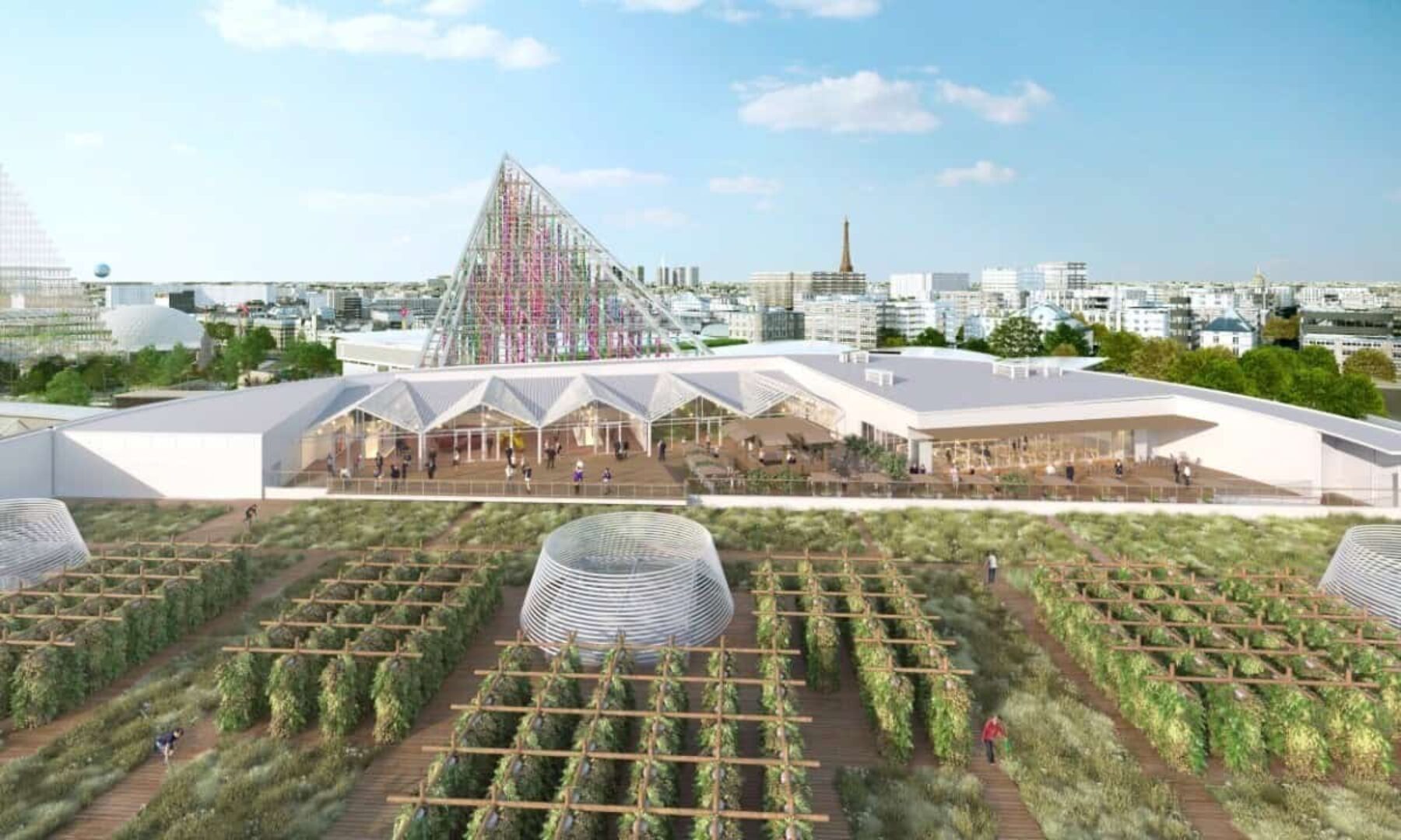 Image for Farms of the future: the Paris rooftops at the heart of an urban revolution