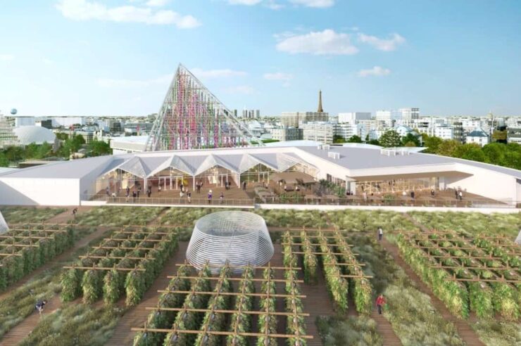 Image for Farms of the future: the Paris rooftops at the heart of an urban revolution