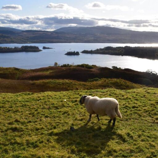 A hydro electric energy project in Loch Awe in Argyll, Scotland