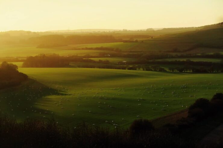 Image for Spotlight on soil: farming returns to its roots