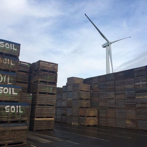 March wind farm in Cambridgeshire powers a potato processing plant