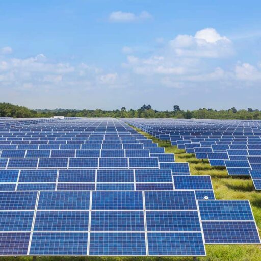 Solar has produced electricity in proportions never seen before in the UK