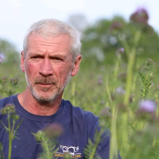 Paul Hayward and his brother Mark have planted enough flowers to feed one million bees