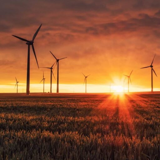 The Committee on Climate Change has published its recommendations to the UK government for initiating a green Covid-19 recovery
