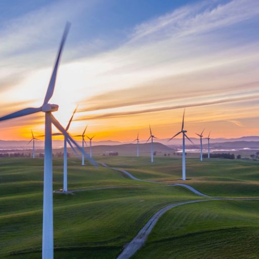The Committee on Climate Change has published its recommendations to the UK government for initiating a green Covid-19 recovery