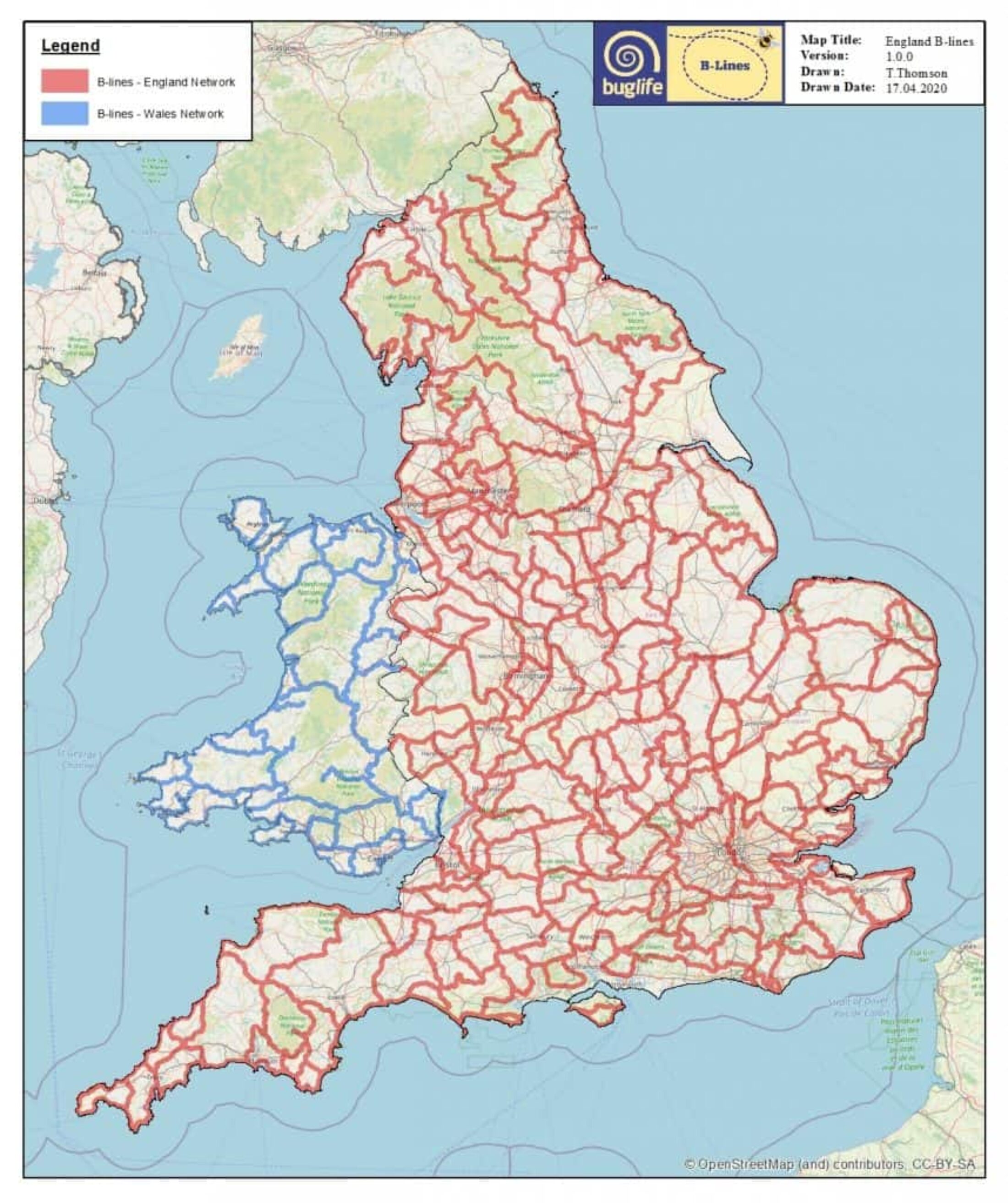 The B-Lines initiative will create a network of wildflower corridors across England to help bees