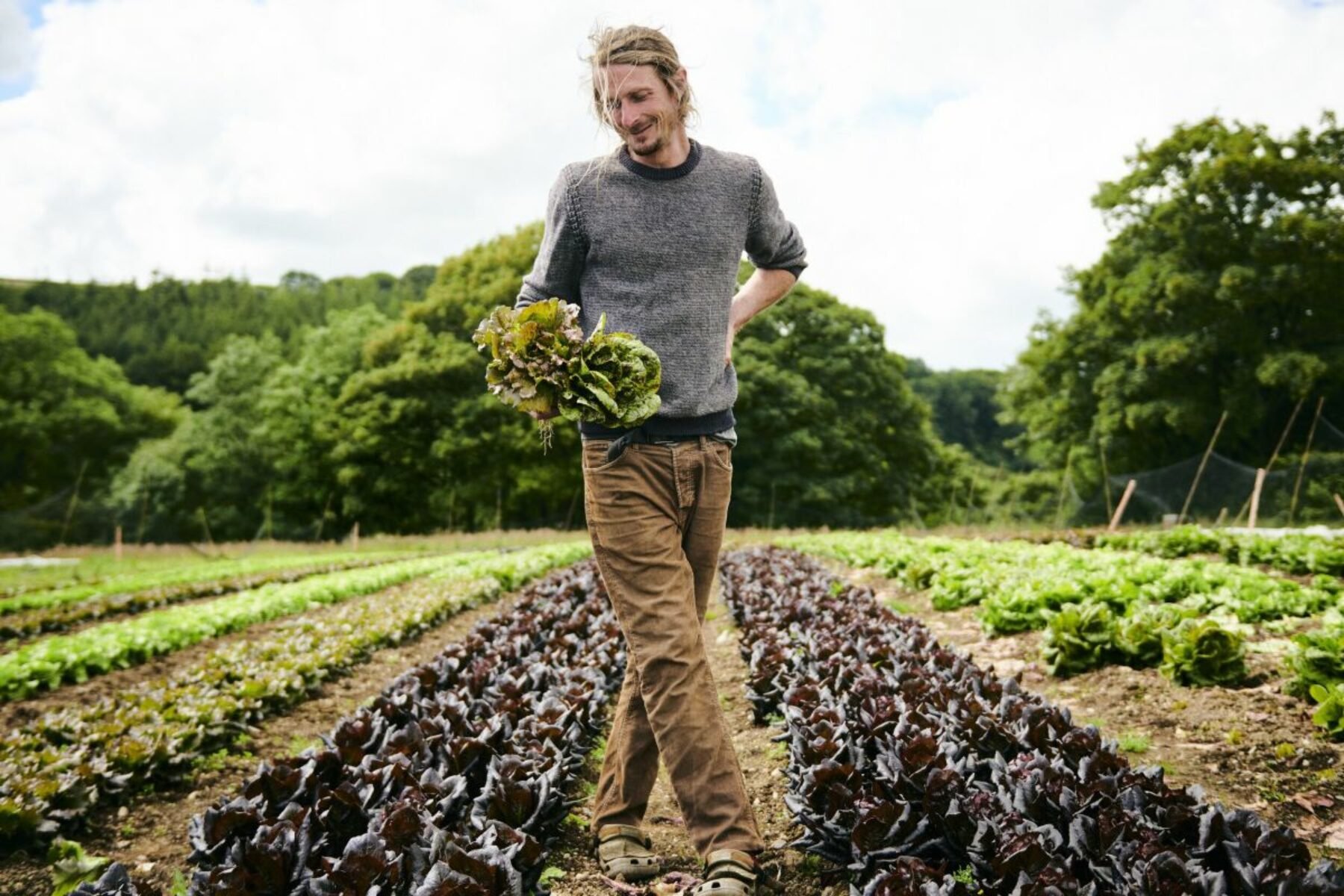 Image for Farm to fork: the open database that lets people buy food direct from source