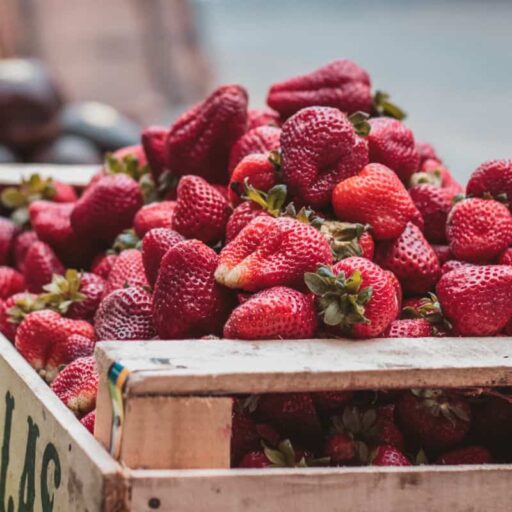 Good news: There has been a surge in the number of businesses donating food to vulnerable people