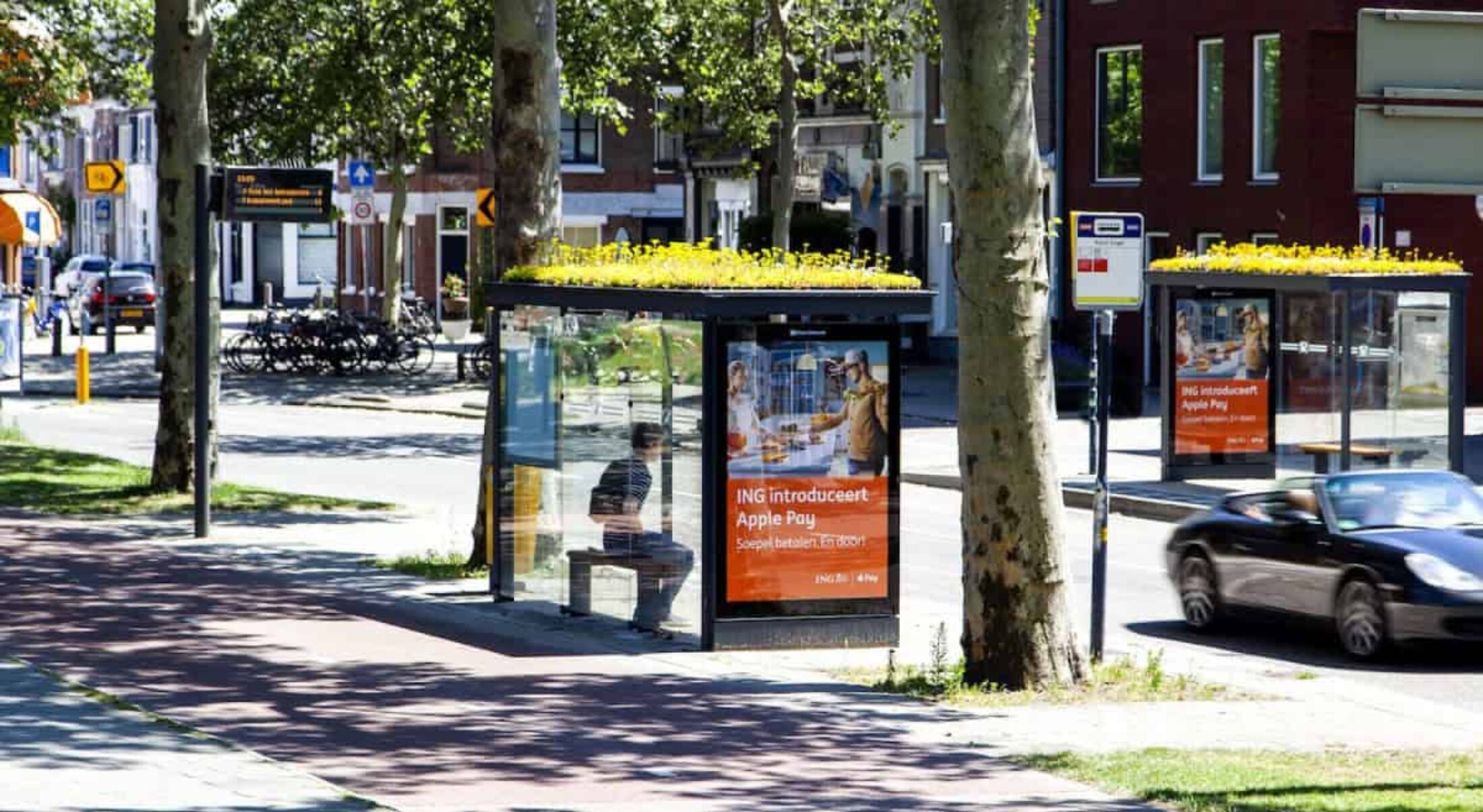 Utrecht has turned bus stop roofs into bee gardens