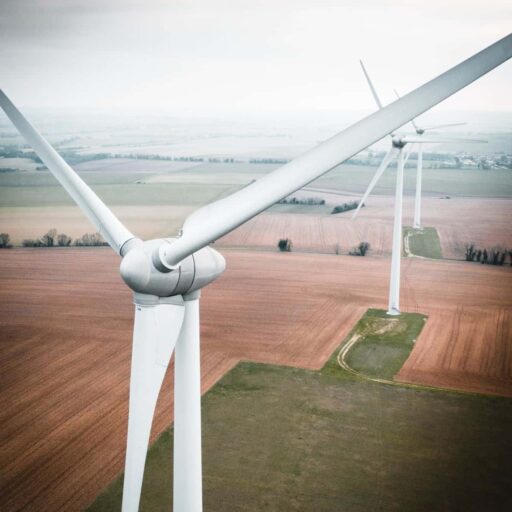 Positive news: new technique reduced bird strikes at wind turbines