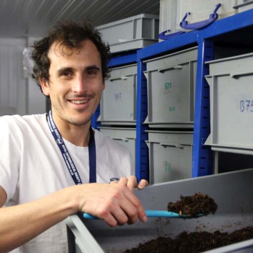 Positive news: UK insect farm awarded £10m to make sustainable animal feed