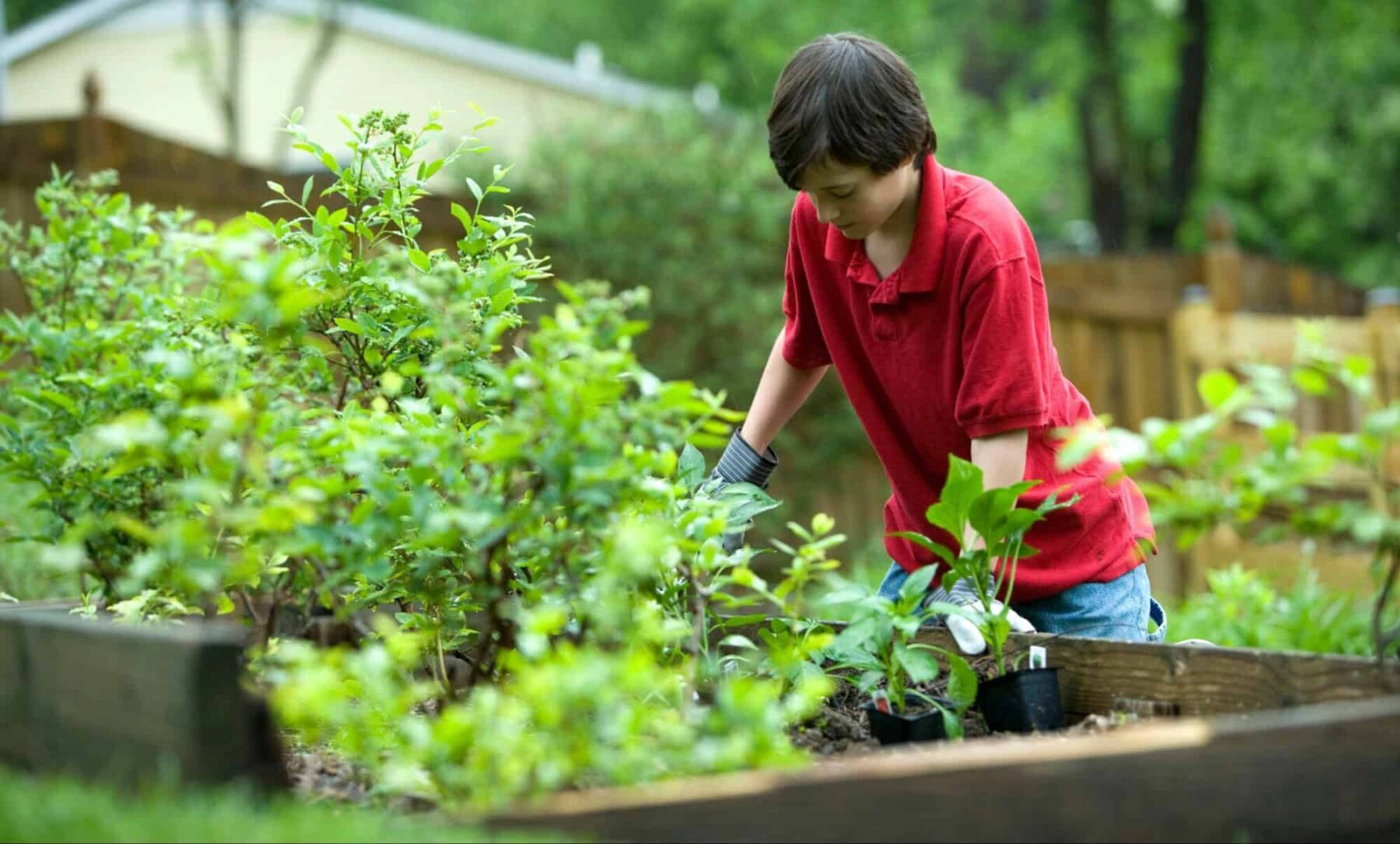 Image for Growing back to school: one charity’s plan to encourage outdoor education