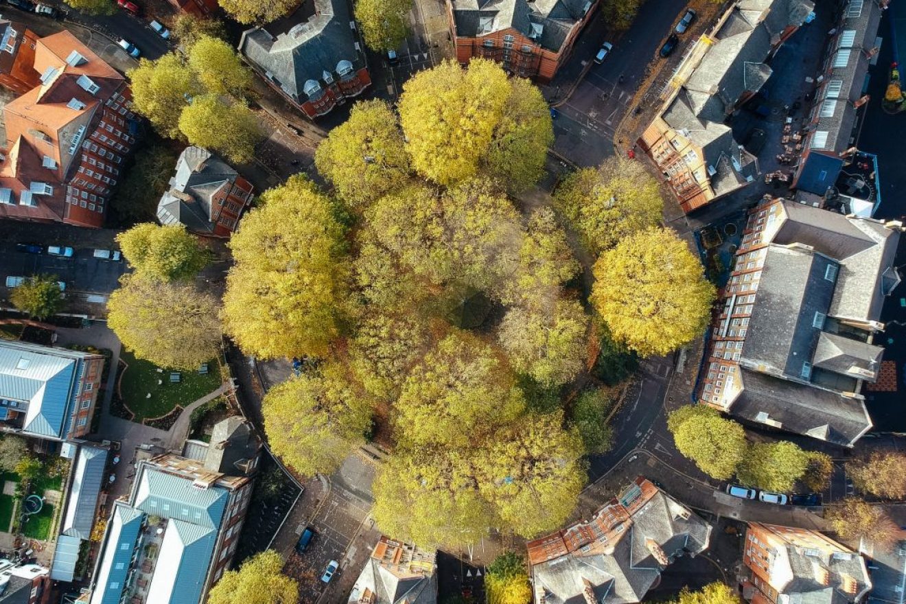 Image for What went right this week: green cities, edible bags and more positive news