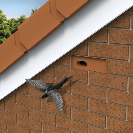 Wildlife Friendly Building - Bird Friendly Bricks