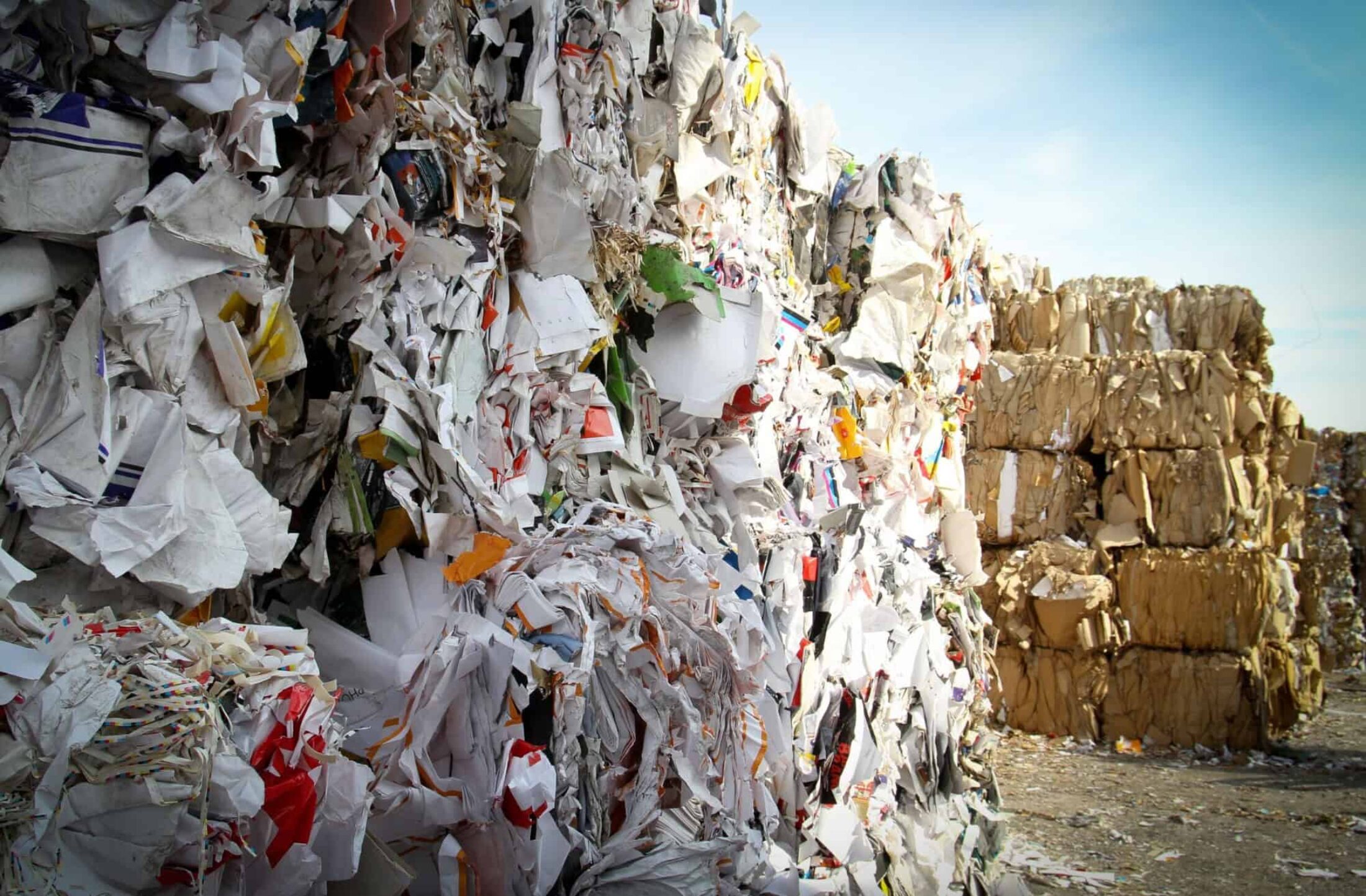 Nothing is wasted in the circular economy, which turns garbage into treasure