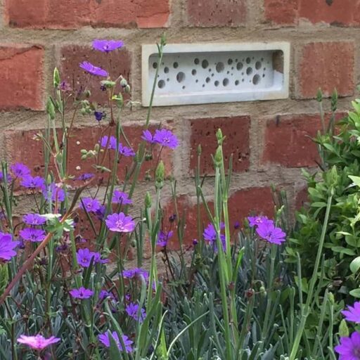 Bricks for bees