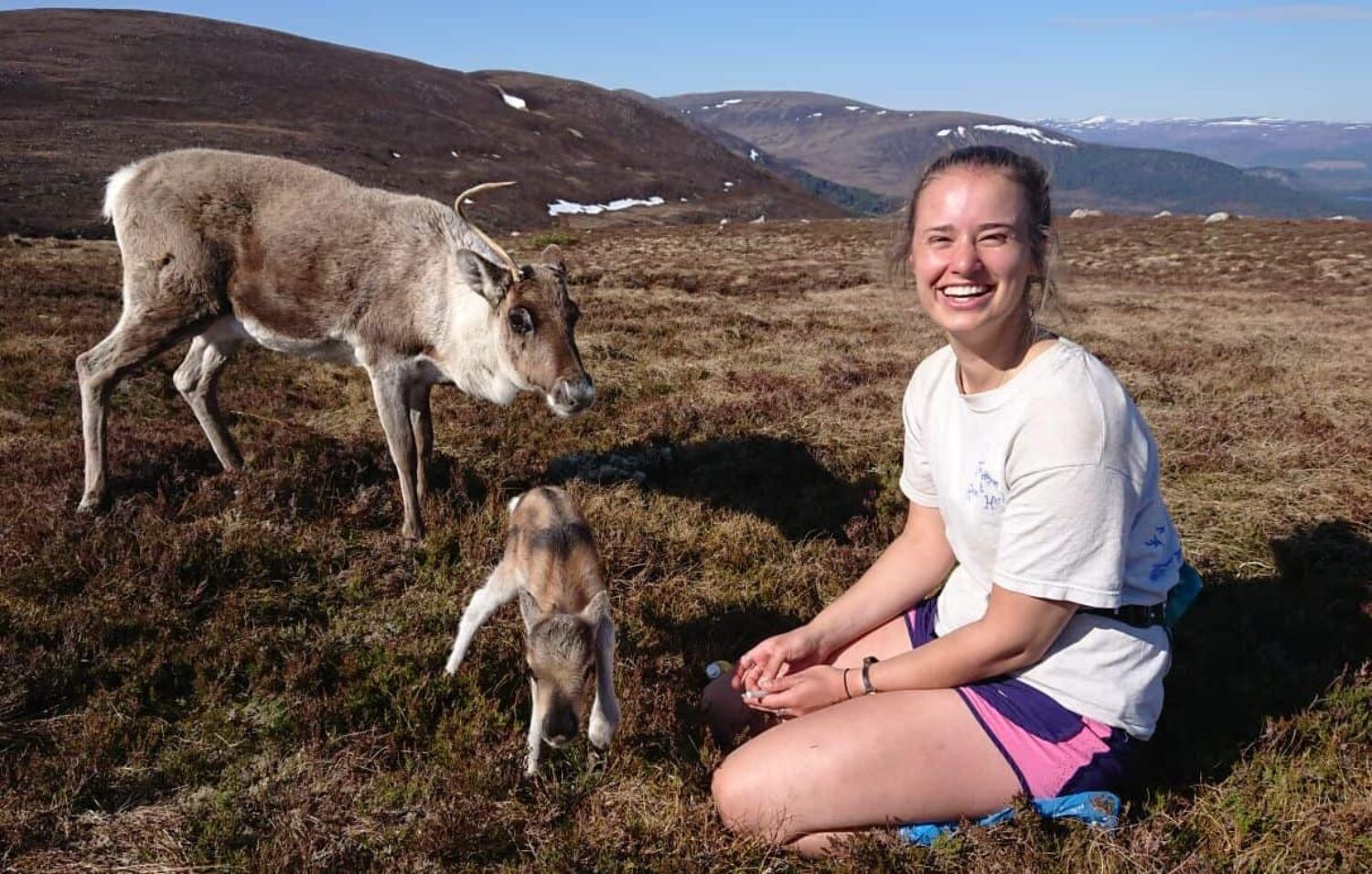 I had always loved the reindeer and the area, and was keen to get more involved