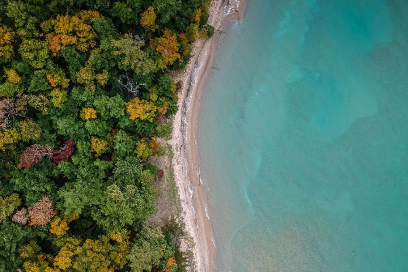 Image for What went right this week: a ‘Magna Carta’ for Earth, rewilding jobs and more positive news