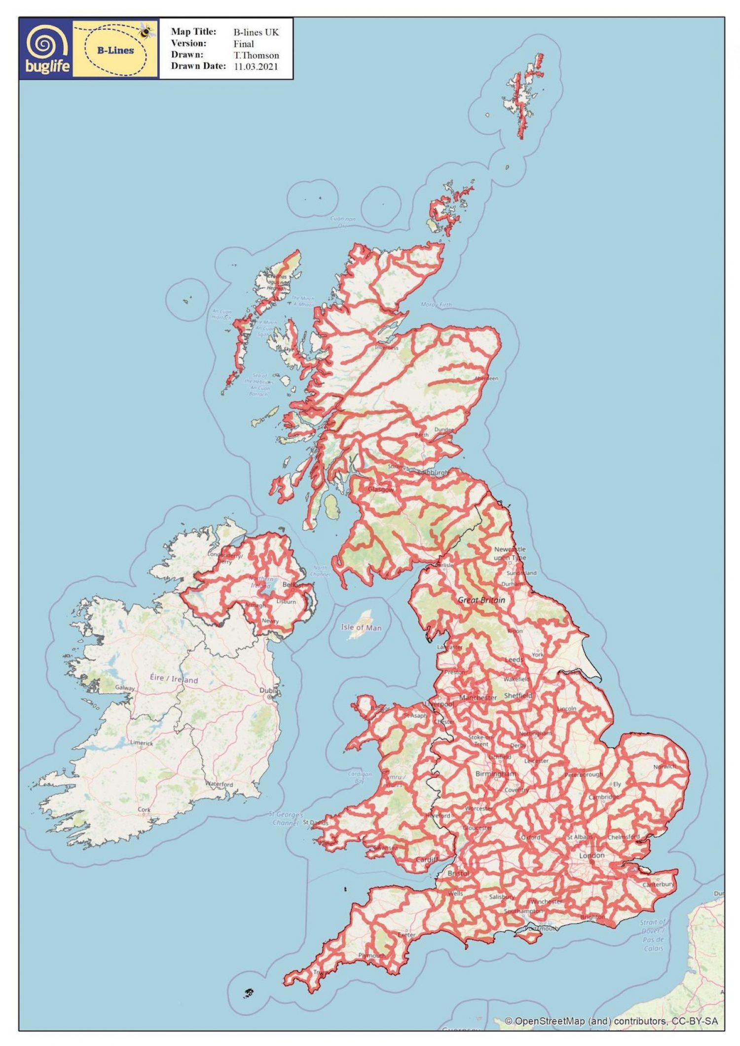 The network of lines B