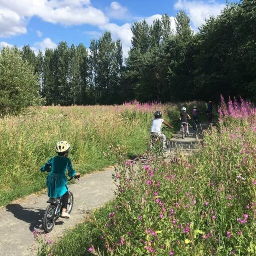 Malls Mire Community Woodland