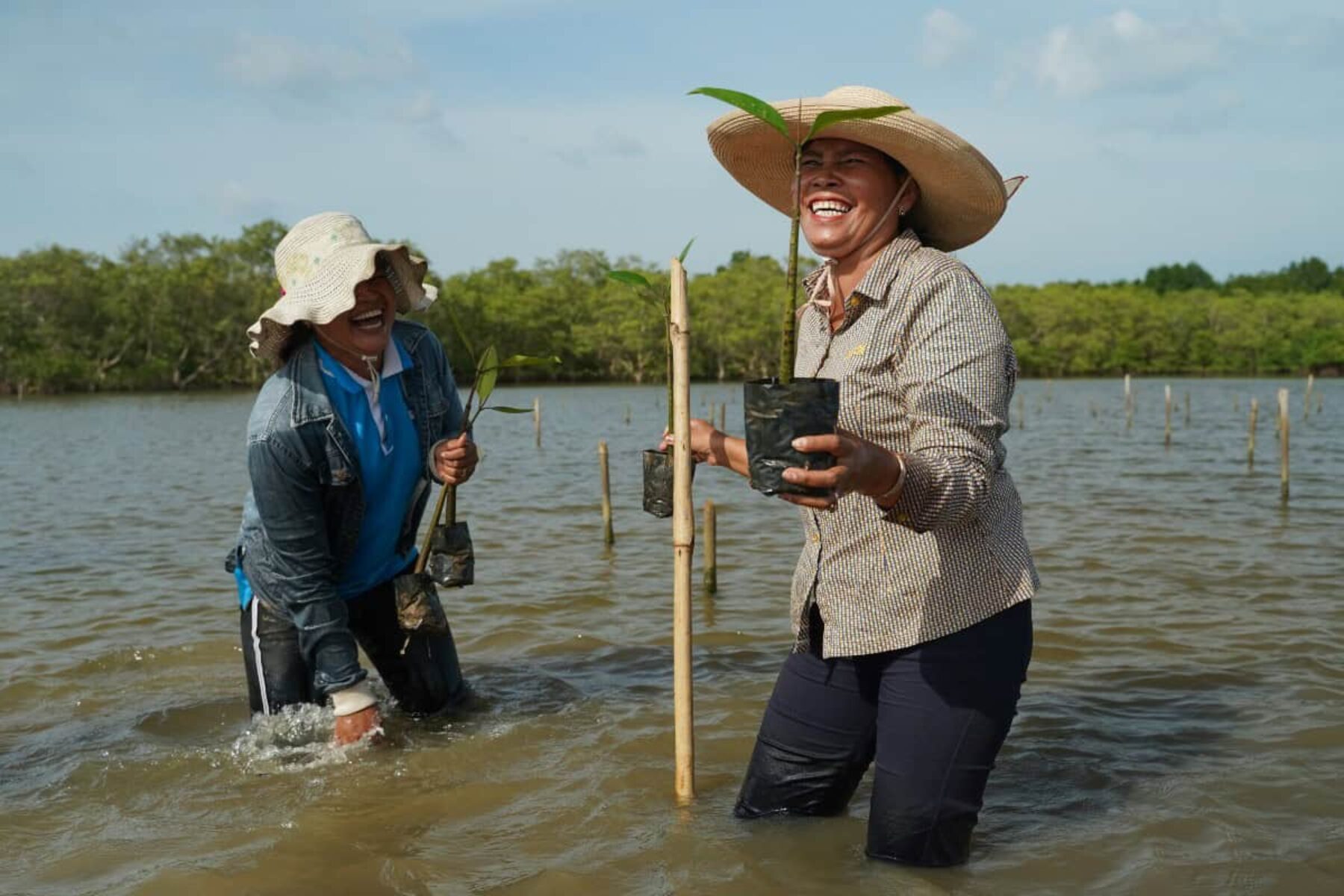 Image for ‘Essential leaders’: why empowering women is key to tackling the climate crisis