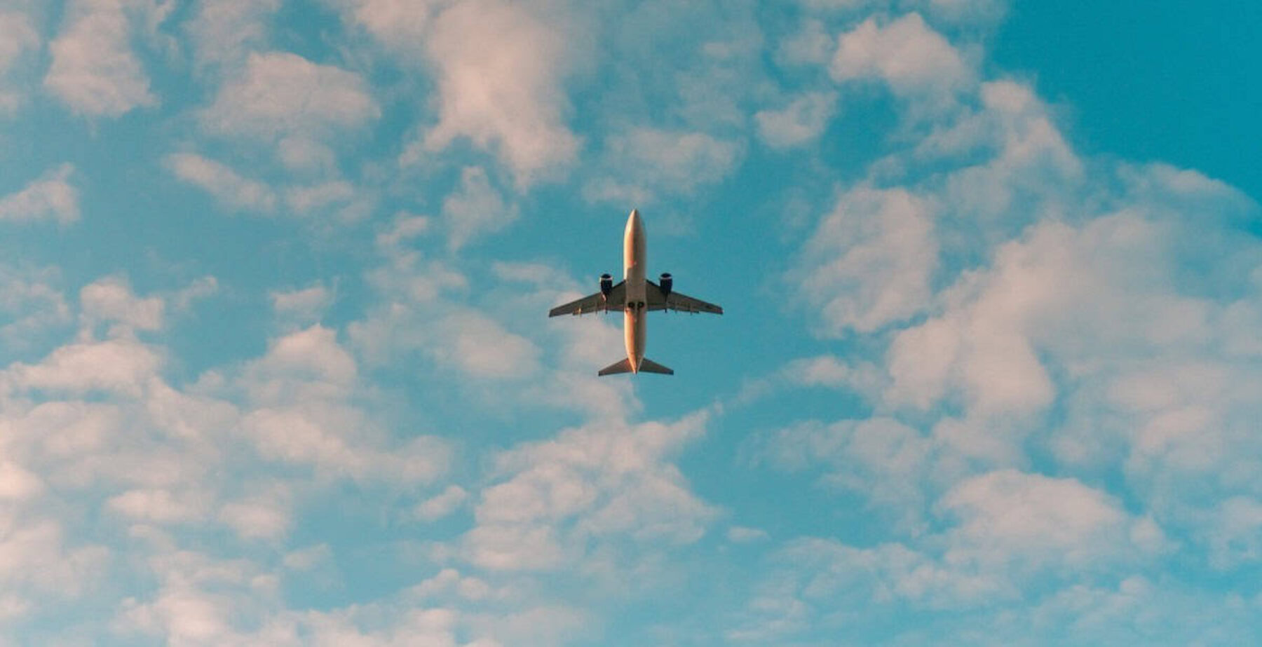 Image for The holy grail of aviation: net-zero flights ‘on the horizon’, say scientists