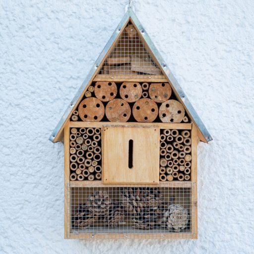 World Bee Day Five Projects Making A Difference To Bees This Year Positive News