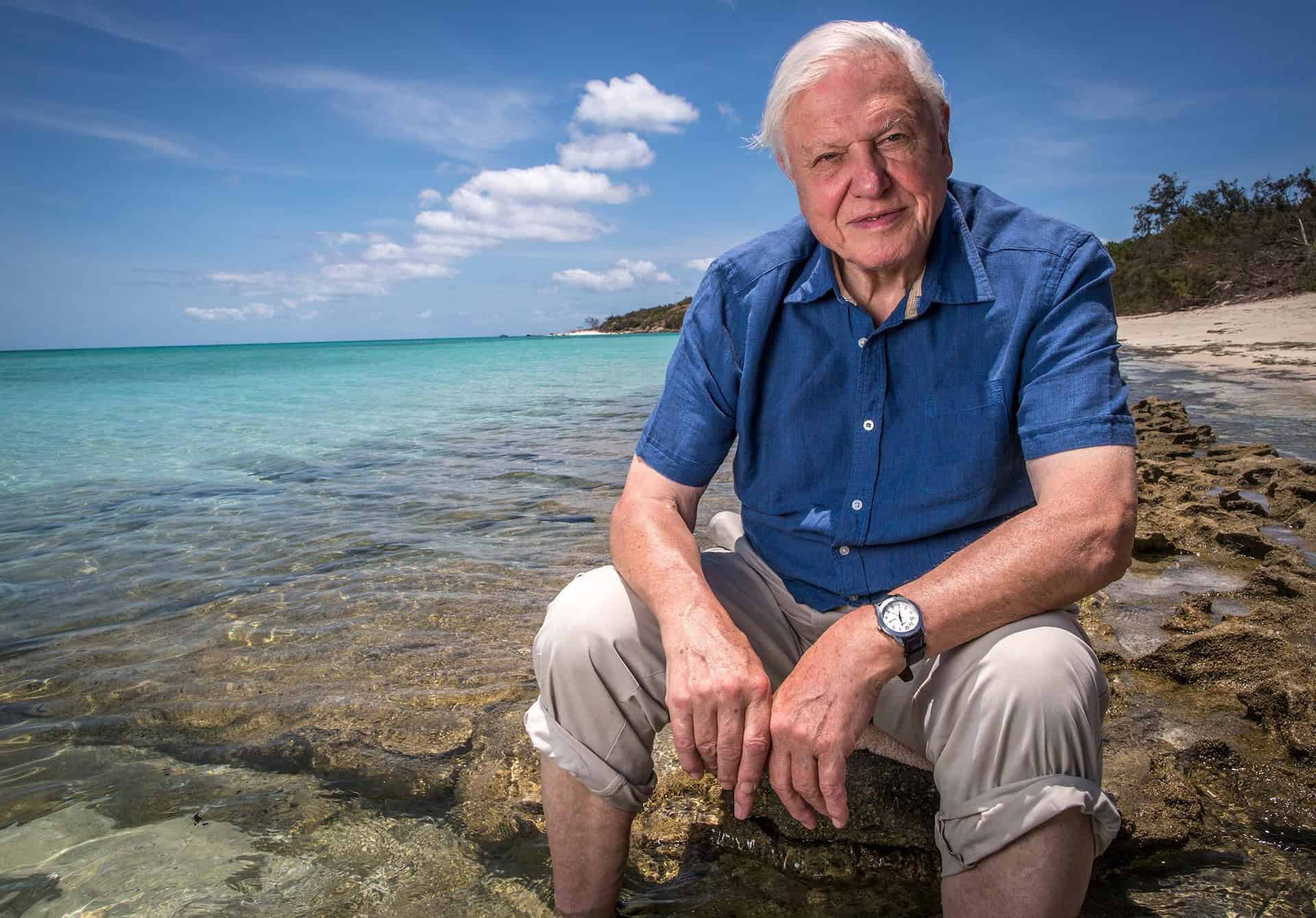 15 of the best quotes from Sir David Attenborough