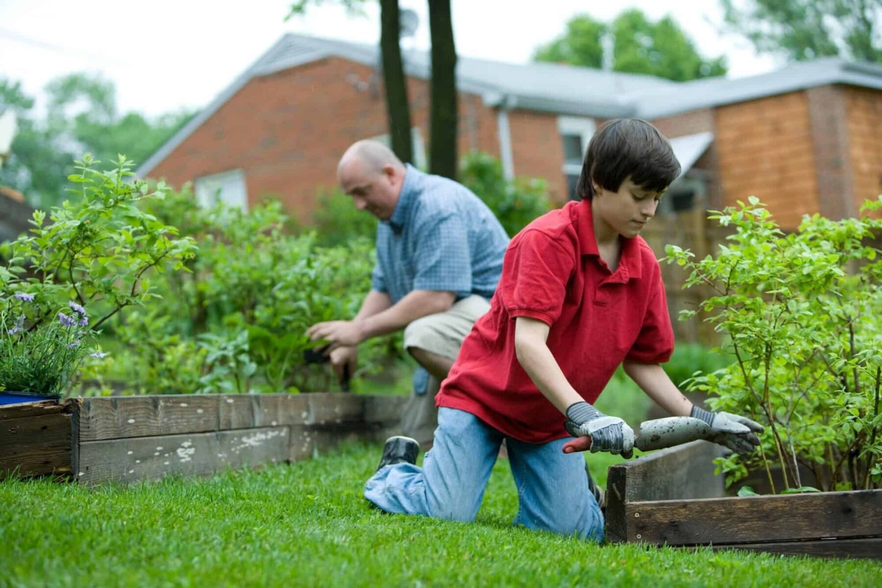 Image for ‘Airbnb for gardens’: the platform connecting growers with green spaces