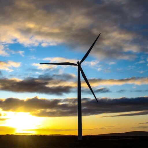 Positive news: British wind farms broke records this week