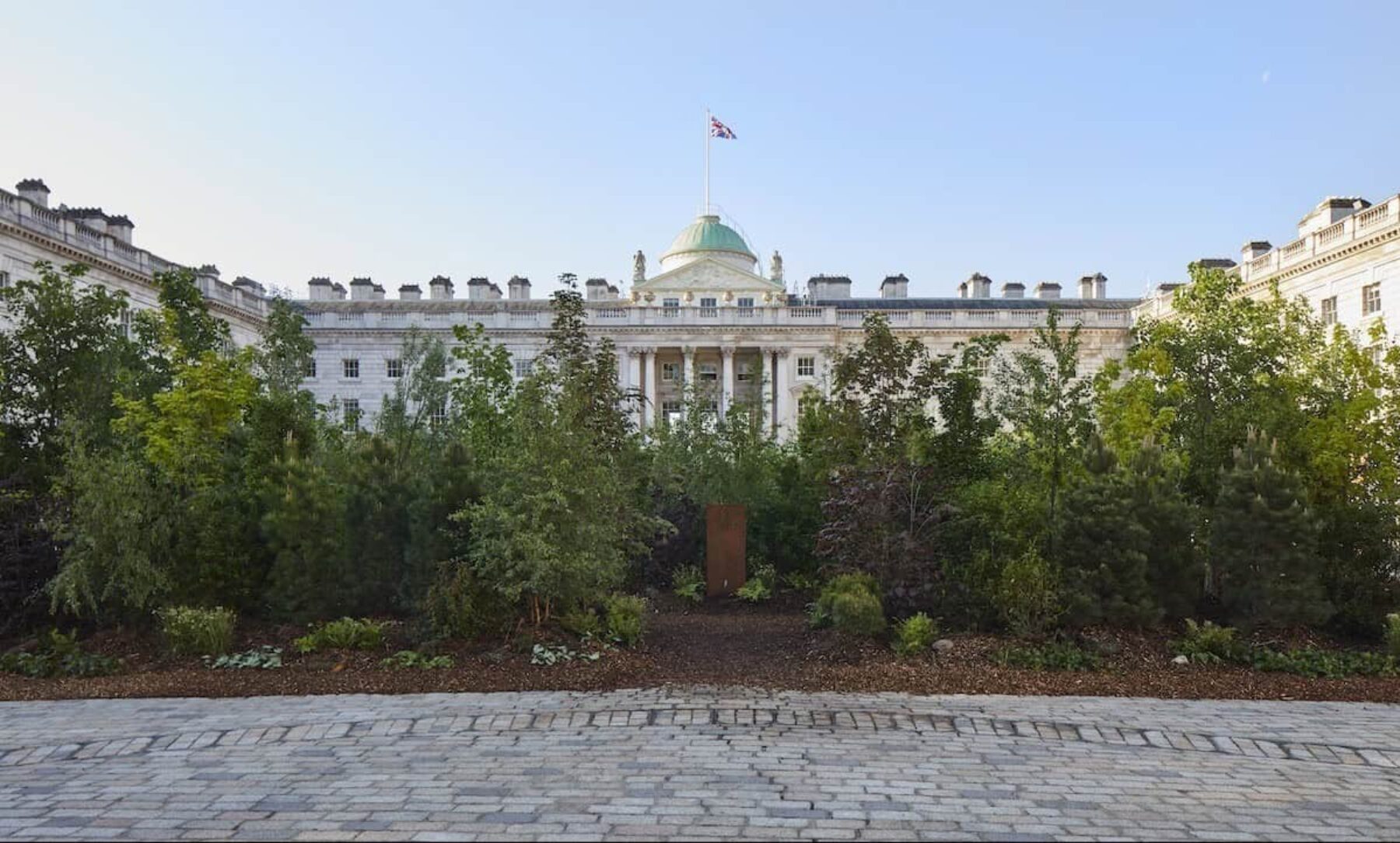 Image for A ‘forest’ has sprung up in an unlikely location in London