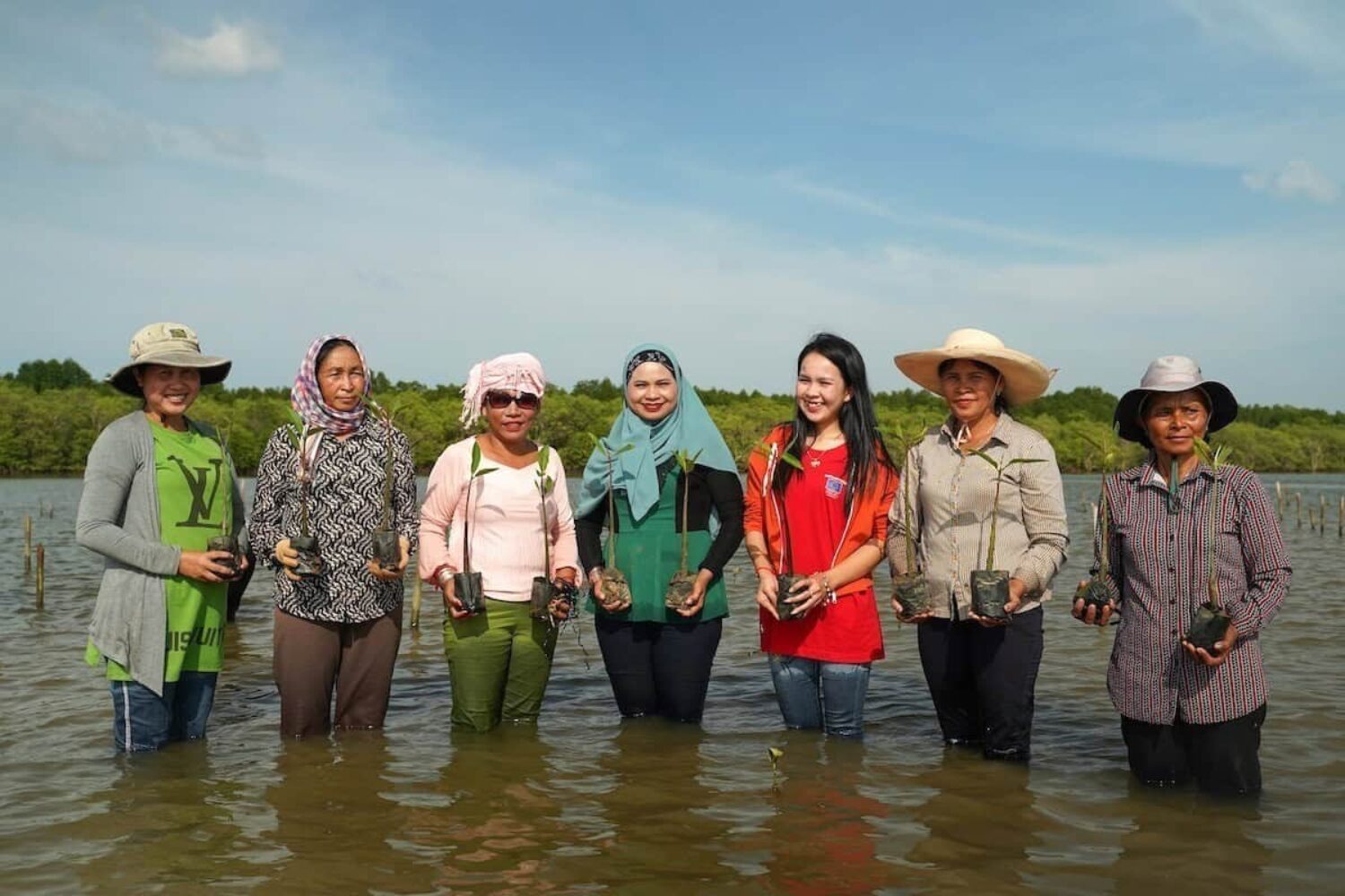 Mangroves