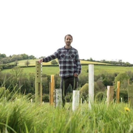 Good news - Plastic tree guards to be phased out in the UK