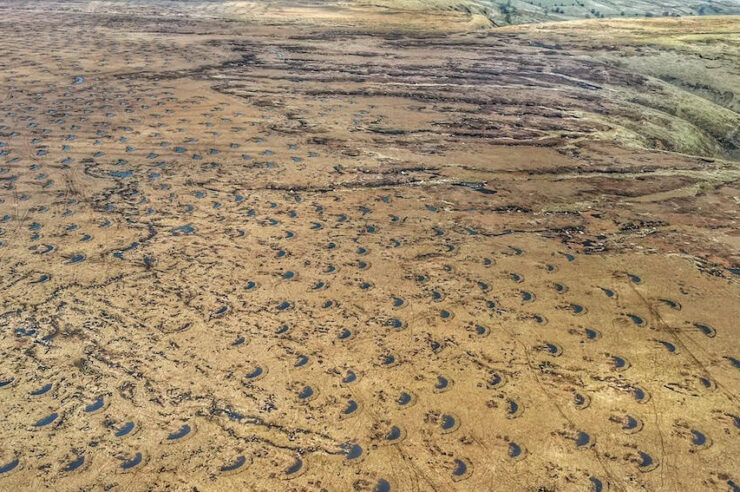 Image for Climate crisis: English moor transformed into ‘giant sponge’ to absorb CO2