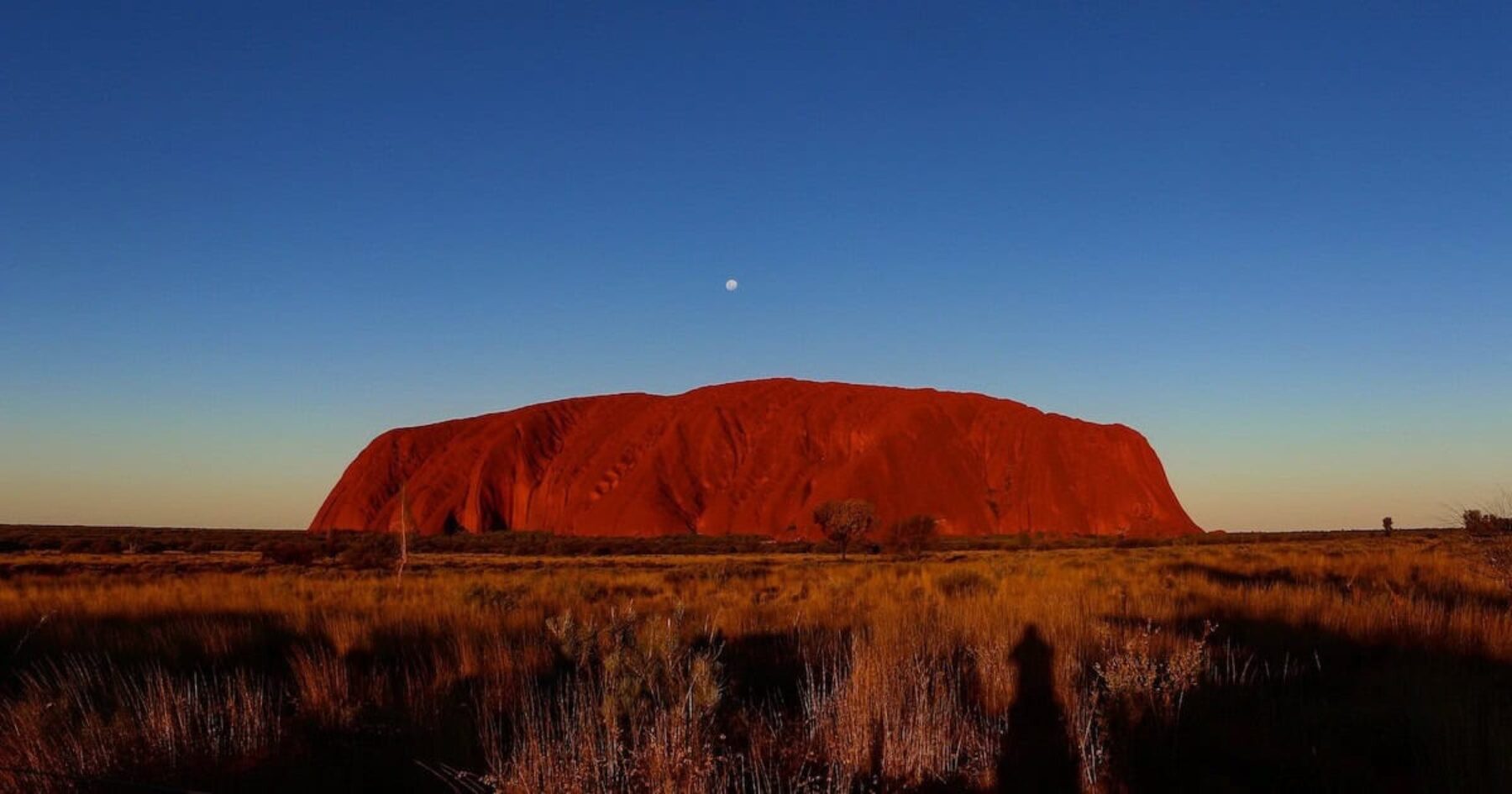 Image for What went right this week: Australia’s ‘healing journey’, plus more positive news