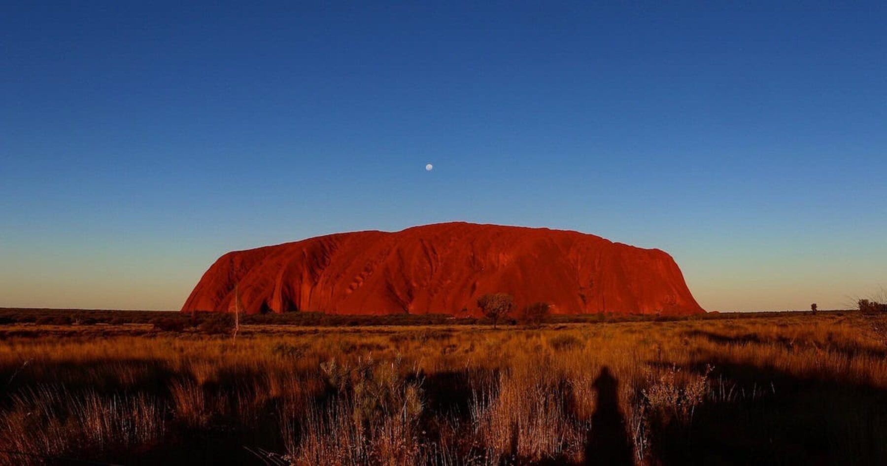 Image for What went right this week: Australia’s ‘healing journey’, plus more positive news