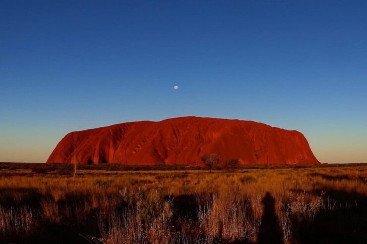 Image for What went right this week: Australia’s ‘healing journey’, plus more positive news