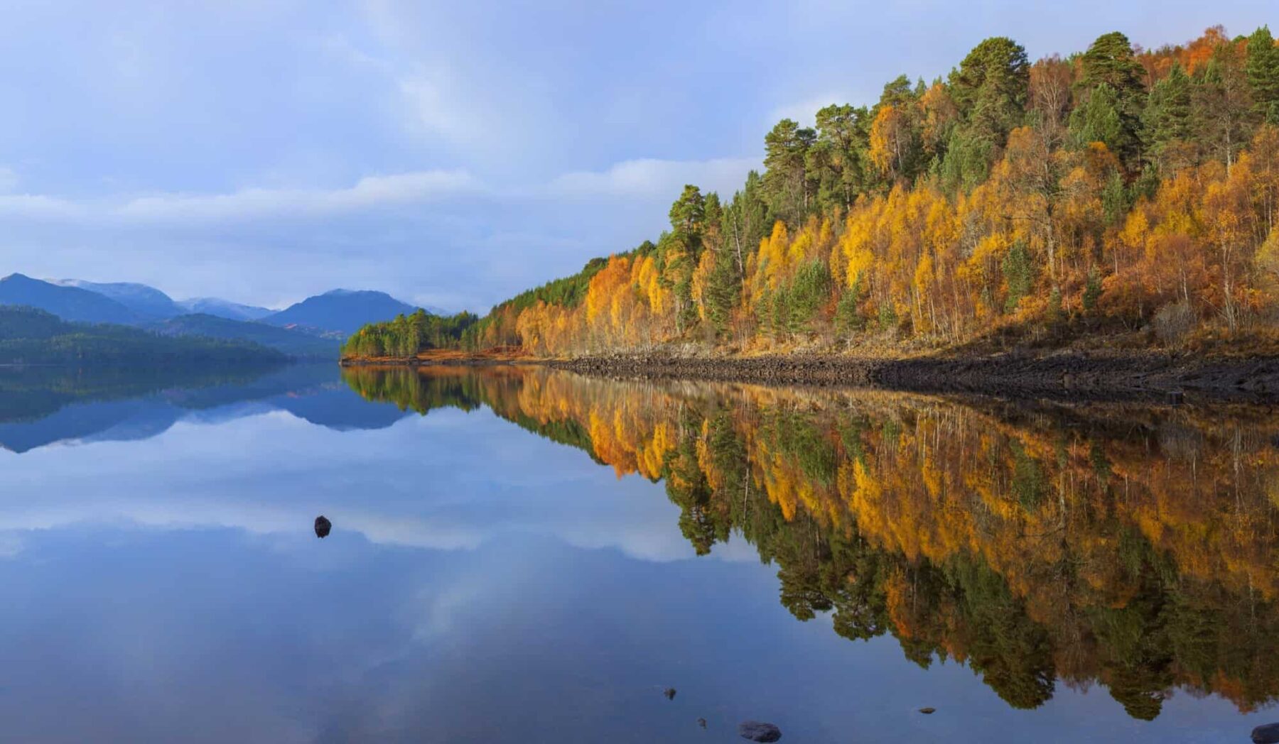 Image for Scottish Highlands to be transformed by major rewilding project