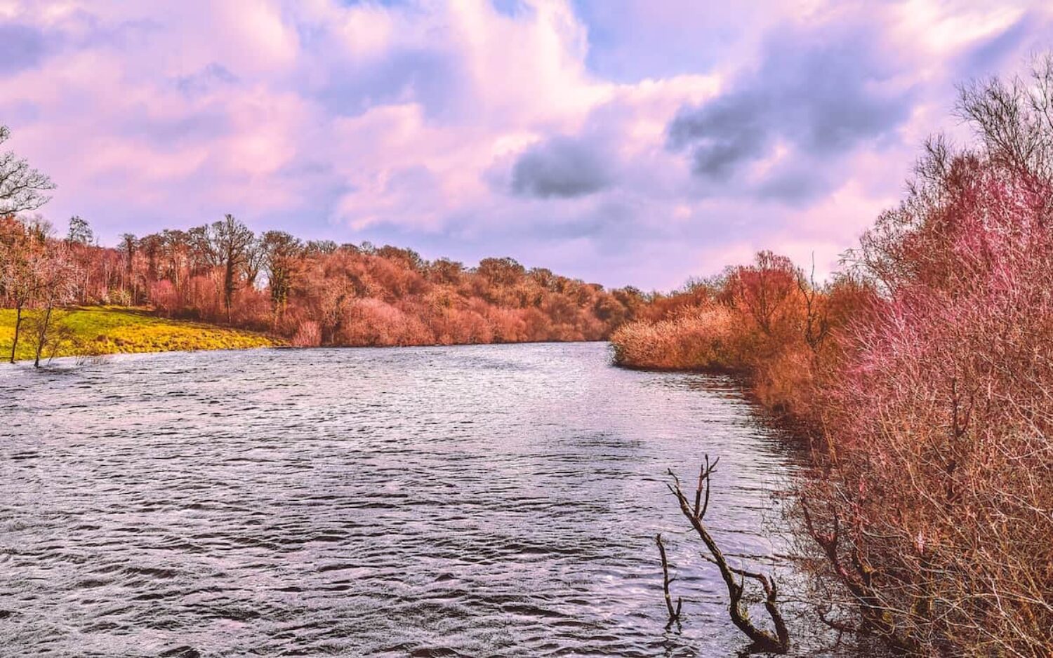 Rewilding UK waterways