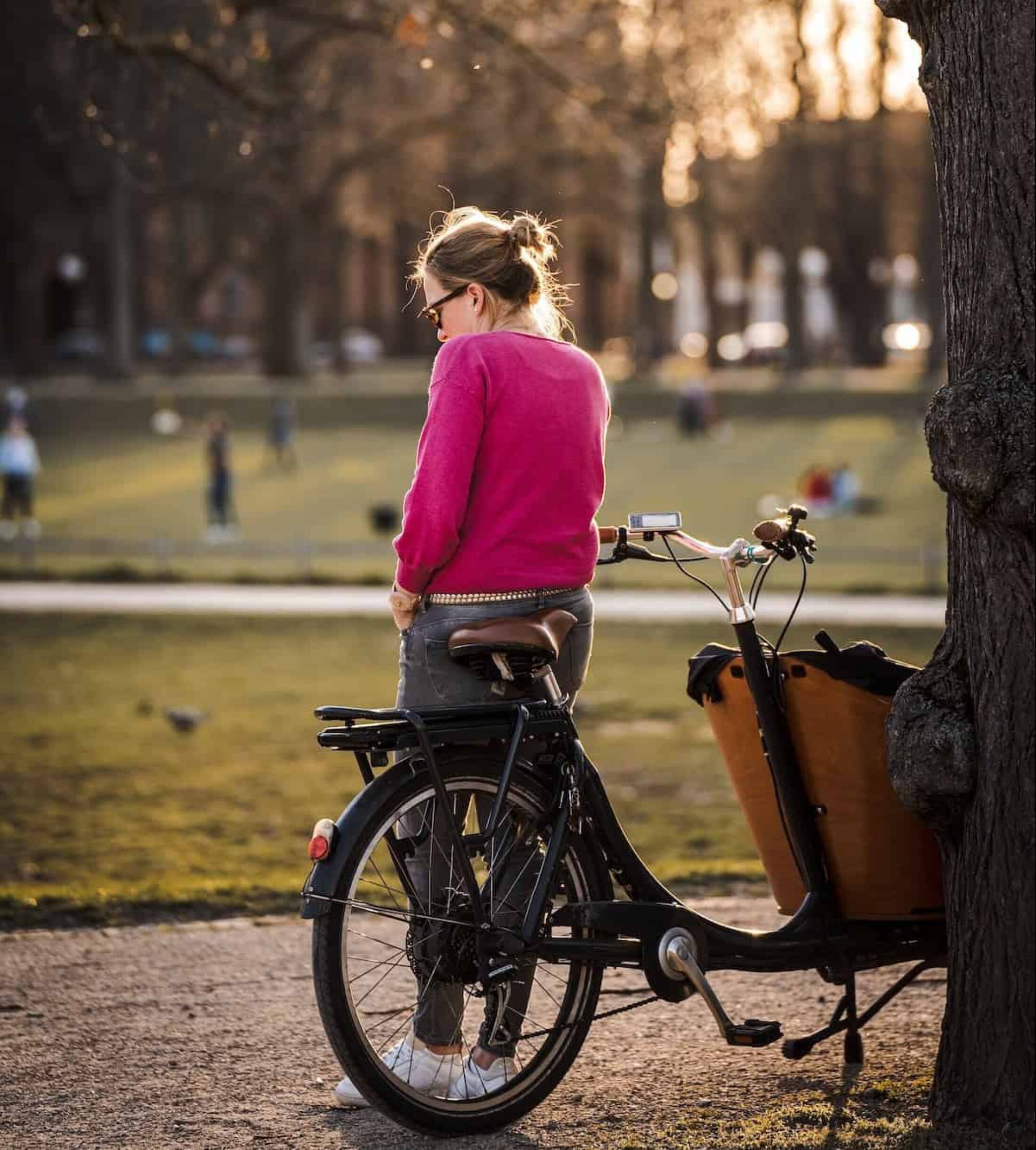 Cargo bikes