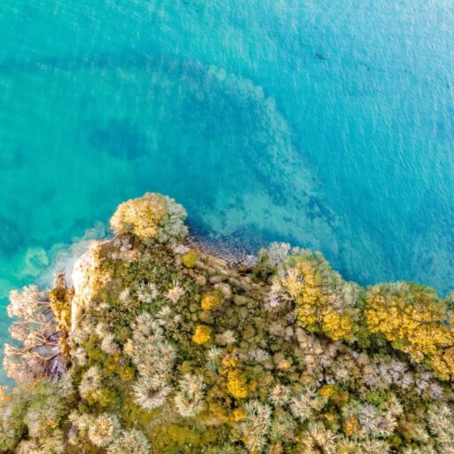 Coast of New Zealand