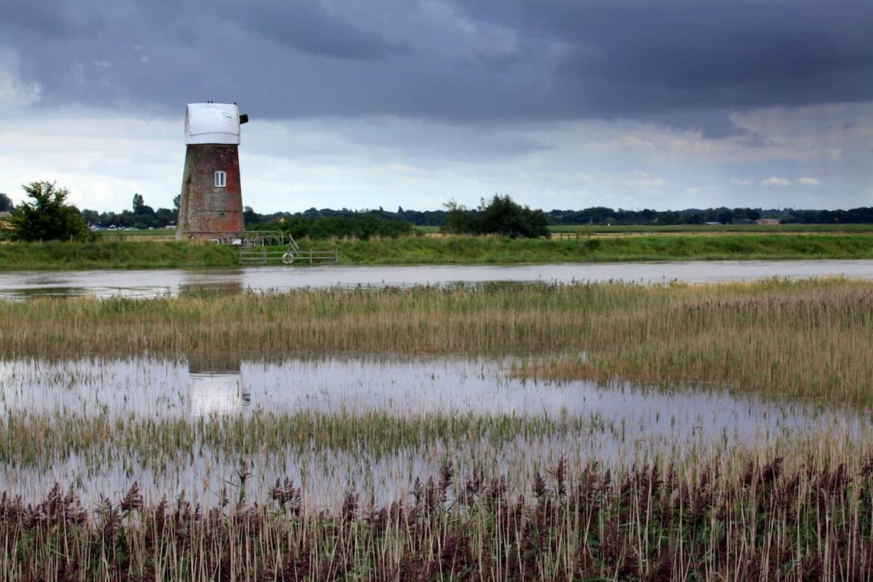 Image for The curious case of the ‘ghost ponds’ that come back from the dead