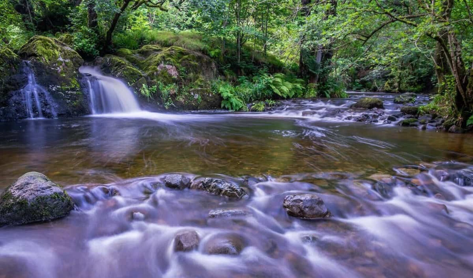 Image for The podcast that lets you tune in to the British landscape